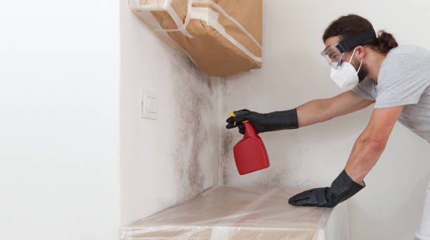 Professional Mold Testing technician working in Great River, NY