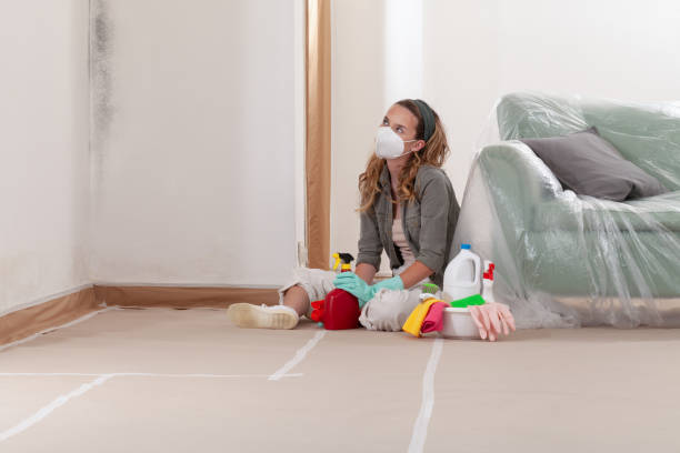 Reliable Mold Testing contractor in Great River, NY by WQB Mold Removal